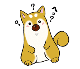 Shiba-Inu KOTAN sticker #3358110
