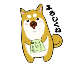Shiba-Inu KOTAN sticker #3358114