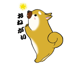 Shiba-Inu KOTAN sticker #3358116