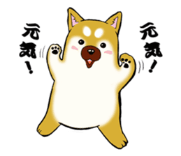 Shiba-Inu KOTAN sticker #3358117