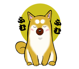 Shiba-Inu KOTAN sticker #3358118