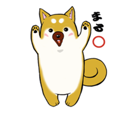 Shiba-Inu KOTAN sticker #3358119