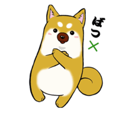 Shiba-Inu KOTAN sticker #3358120