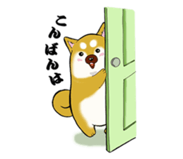 Shiba-Inu KOTAN sticker #3358121