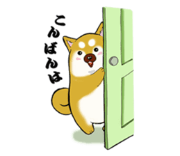 Shiba-Inu KOTAN sticker #3358121