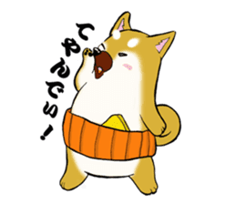 Shiba-Inu KOTAN sticker #3358124