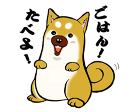 Shiba-Inu KOTAN sticker #3358125