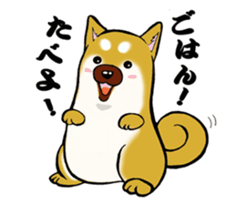 Shiba-Inu KOTAN sticker #3358125