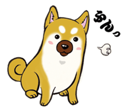 Shiba-Inu KOTAN sticker #3358126