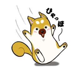 Shiba-Inu KOTAN sticker #3358127