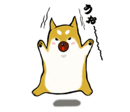 Shiba-Inu KOTAN sticker #3358128