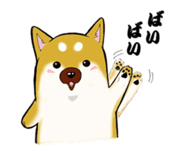 Shiba-Inu KOTAN sticker #3358129