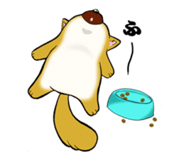 Shiba-Inu KOTAN sticker #3358131