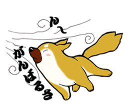 Shiba-Inu KOTAN sticker #3358133