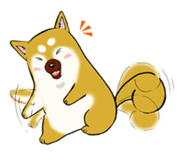 Shiba-Inu KOTAN sticker #3358134