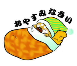 Shiba-Inu KOTAN sticker #3358139