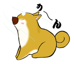 Shiba-Inu KOTAN sticker #3358141