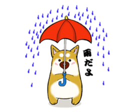 Shiba-Inu KOTAN sticker #3358143