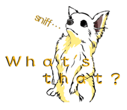 Chihuahua speaks for you. sticker #3358667