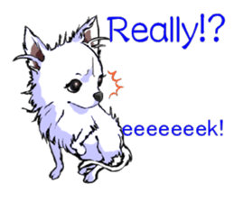 Chihuahua speaks for you. sticker #3358684