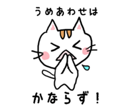 okotowaricat sticker #3359589