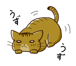 Booshan of cat sticker #3362965