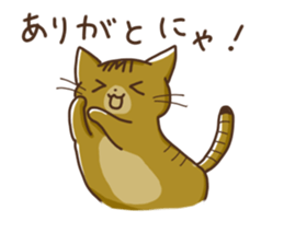 Booshan of cat sticker #3362986