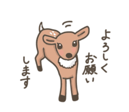 Funny deer in Nara sticker #3363363