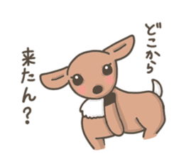 Funny deer in Nara sticker #3363364