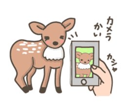 Funny deer in Nara sticker #3363383