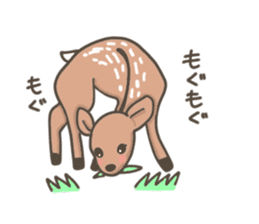 Funny deer in Nara sticker #3363387