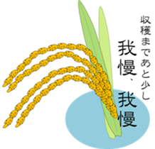 Idle rice grain sticker #3363638