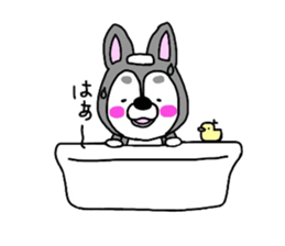 The name of the husky is silver sticker #3368115