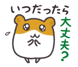 Hamsters and cats go out together. sticker #3369087