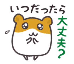 Hamsters and cats go out together. sticker #3369087