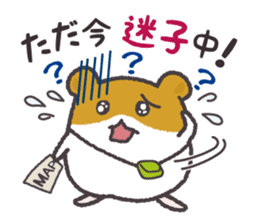 Hamsters and cats go out together. sticker #3369110