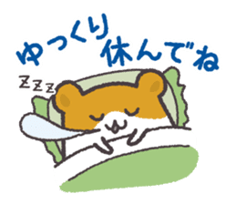 Hamsters and cats go out together. sticker #3369121