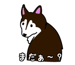 Husky's Sticker2 sticker #3370265
