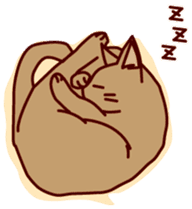 twins cat sticker #3370895