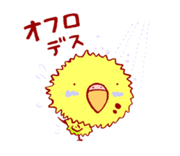 MOG is funny budgerigars sticker #3372534