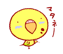 MOG is funny budgerigars sticker #3372561