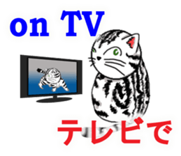 Easy communication English-Japanese 2 sticker #3375318