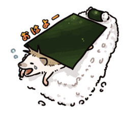 Sushi and hedgehog,"Sudgehog"! sticker #3375418