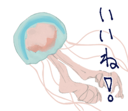 Jellyfishes sticker #3380258