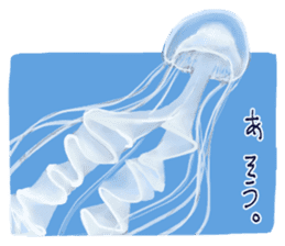 Jellyfishes sticker #3380277