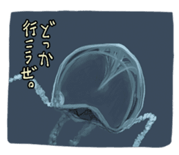 Jellyfishes sticker #3380283