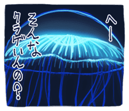 Jellyfishes sticker #3380284