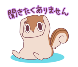 Jealous squirrel sticker #3381336