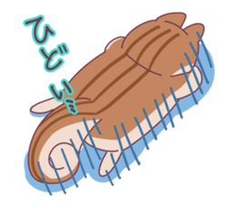 Jealous squirrel sticker #3381356