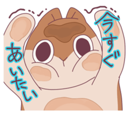 Jealous squirrel sticker #3381369